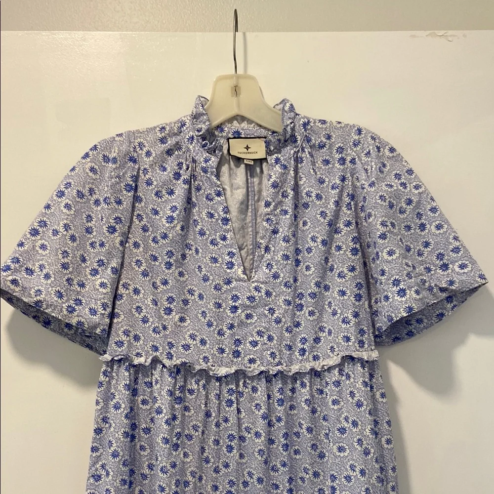Tuckernuck Crawford Dress - Picture 7 of 11